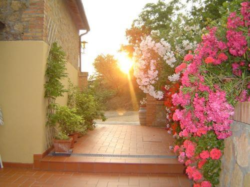 Agriturismo Il Colombaiolo Villa Pienza Exterior foto