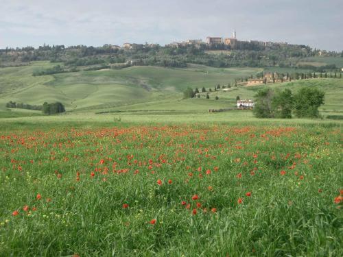 Agriturismo Il Colombaiolo Villa Pienza Exterior foto